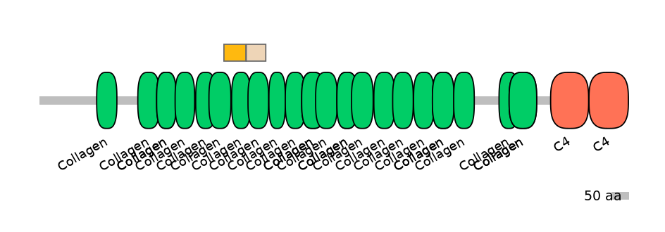 MmuINT0040104-EXC