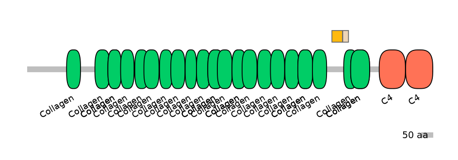 MmuINT0040124-EXC