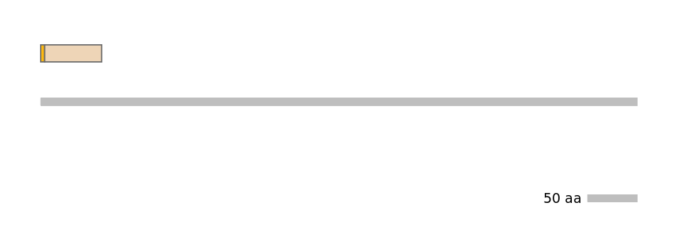MmuINT0043187-EXC
