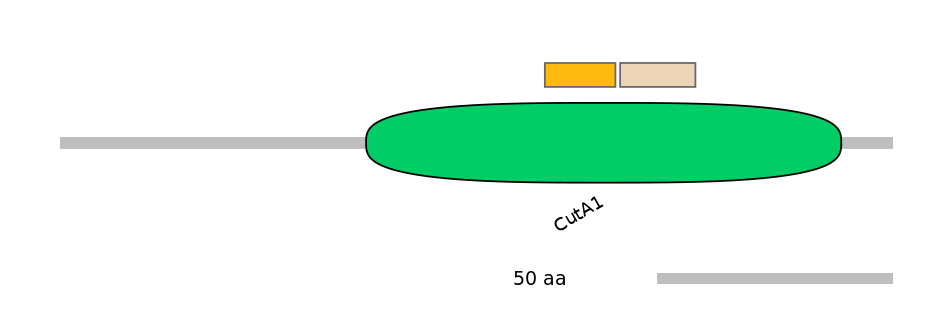 MmuINT0044188-EXC