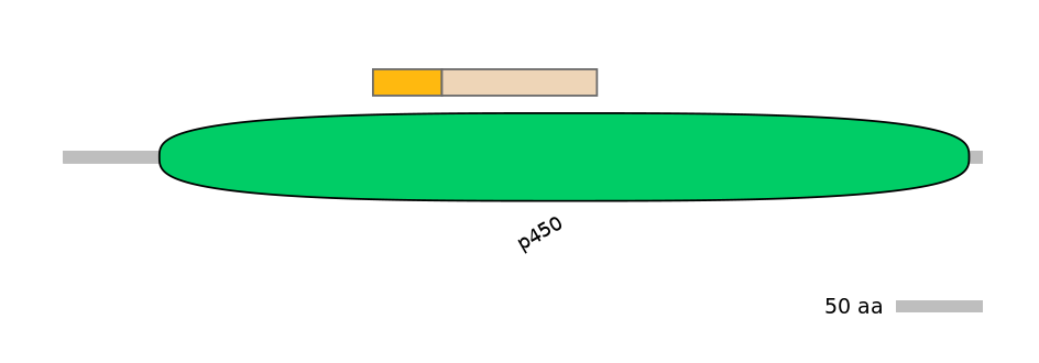 MmuINT0045389-EXC