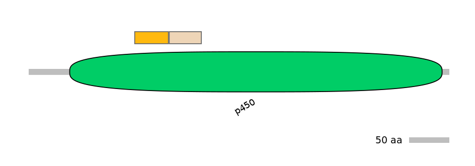 MmuINT0045424-EXC