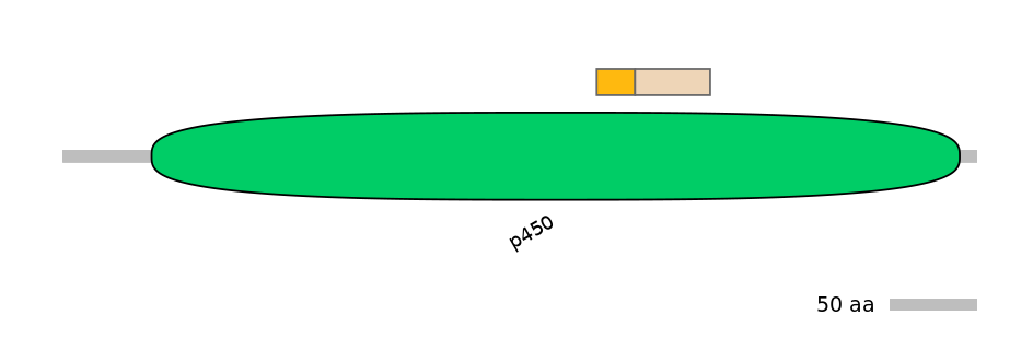 MmuINT0045450-EXC
