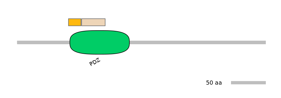 MmuINT0045568-EXC