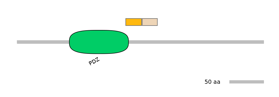 MmuINT0045571-EXC