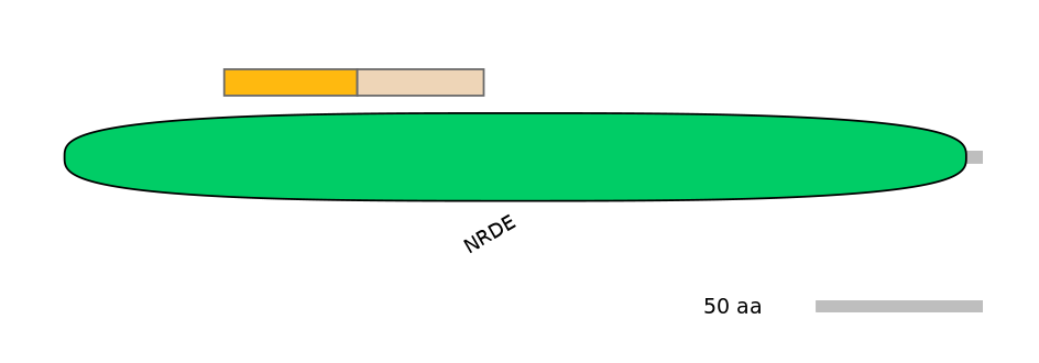 MmuINT0045833-EXC