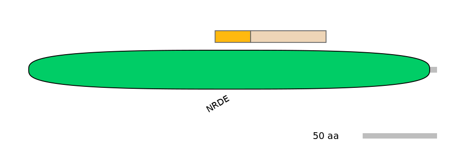 MmuINT0045835-EXC