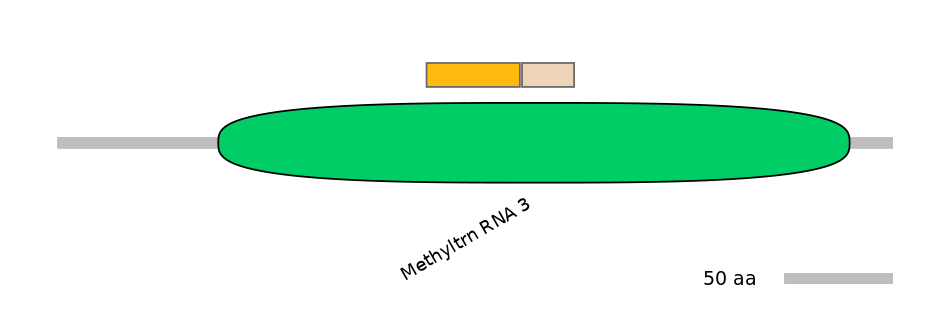 MmuINT0045981-EXC