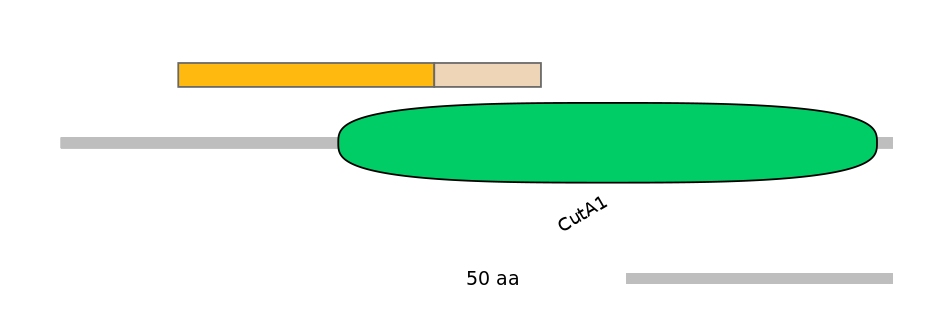 MmuINT0046267-EXC
