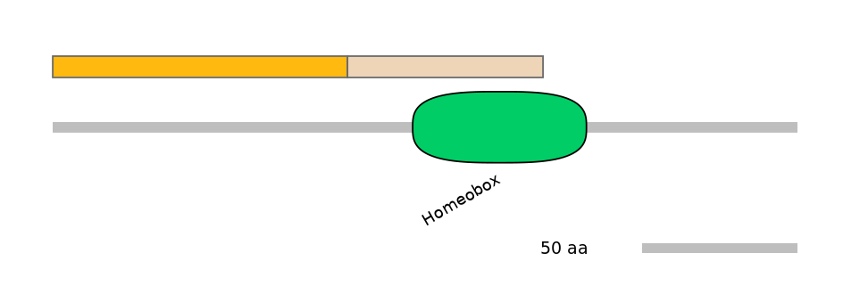 MmuINT0050112-EXC