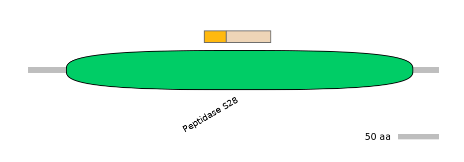MmuINT0052970-EXC