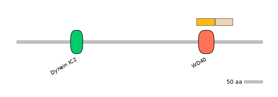 MmuINT0054169-EXC
