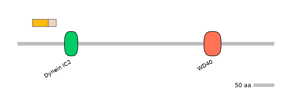 MmuINT0054173-EXC
