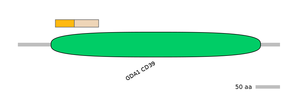 MmuINT0057663-EXC