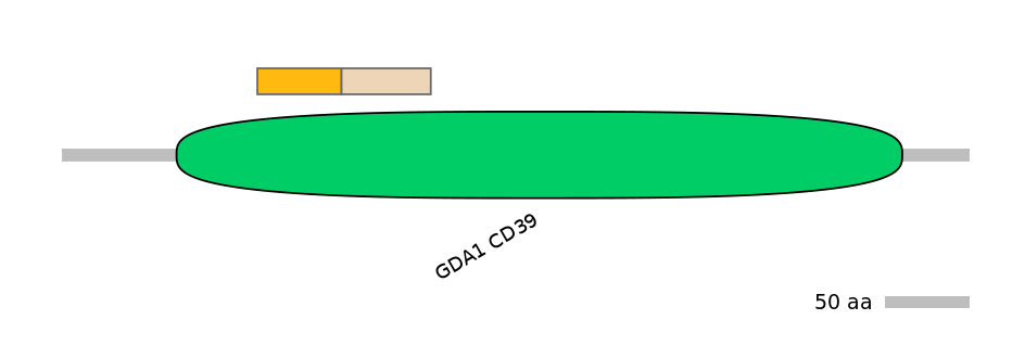 MmuINT0057664-EXC