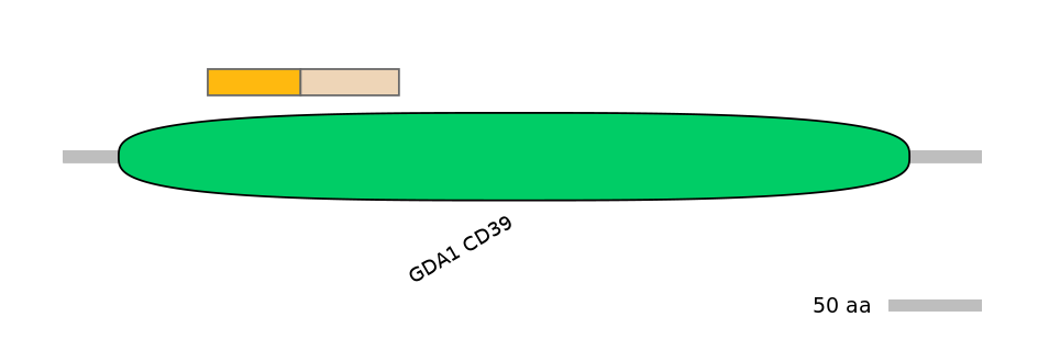 MmuINT0057672-EXC