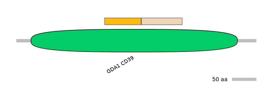 MmuINT0057674-EXC