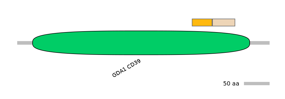 MmuINT0057676-EXC