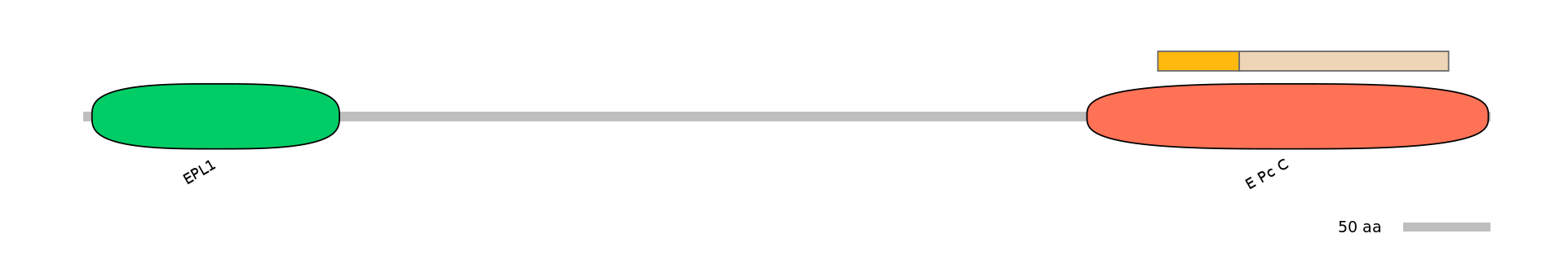 MmuINT0058033-EXC