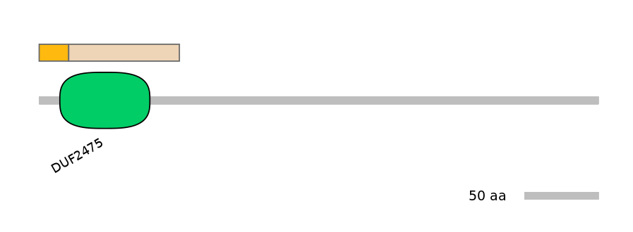 MmuINT0061082-EXC