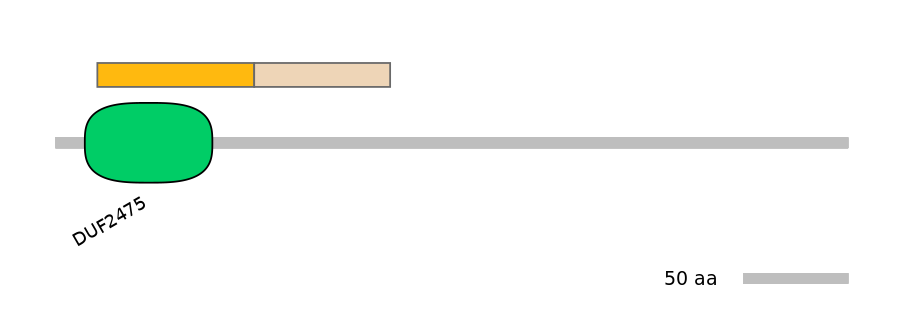 MmuINT0061083-EXC
