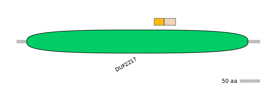 MmuINT0062047-EXC