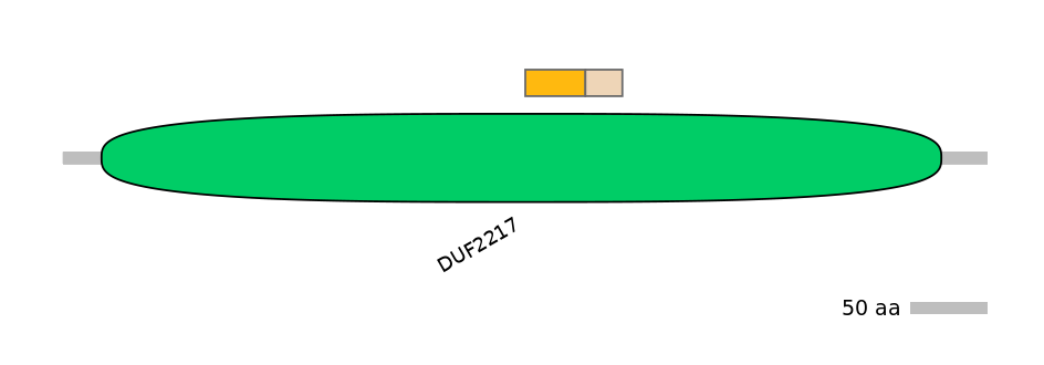 MmuINT0062060-EXC
