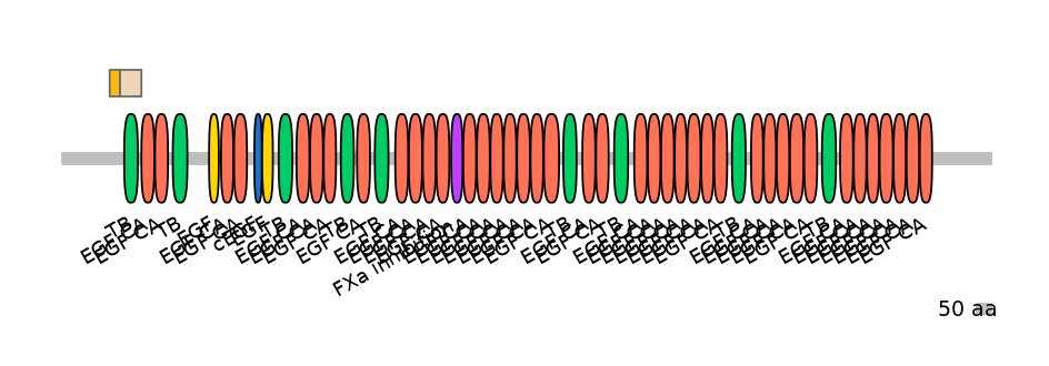 MmuINT0062912-EXC
