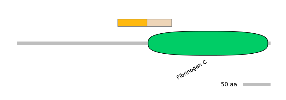 MmuINT0064512-EXC