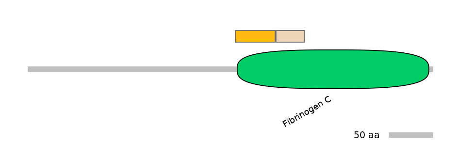 MmuINT0064513-EXC