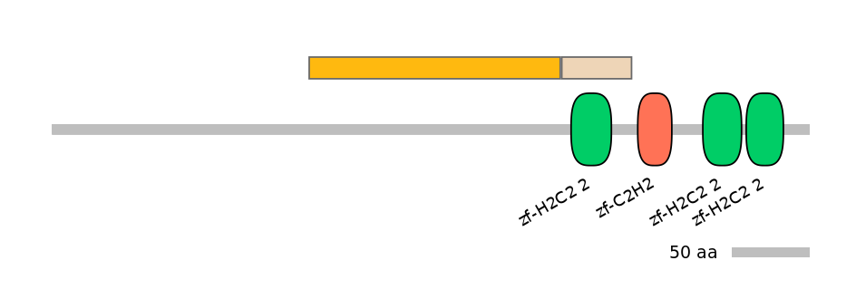 MmuINT0068492-EXC