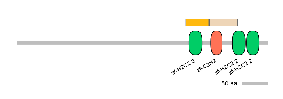 MmuINT0068493-EXC