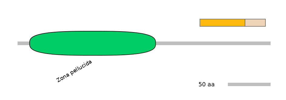 MmuINT0070226-EXC