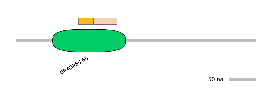 MmuINT0072353-EXC