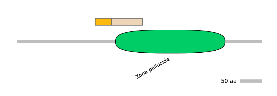 MmuINT0072413-EXC