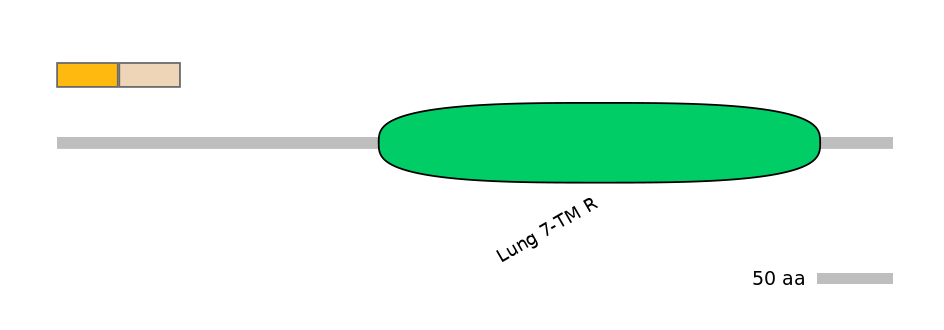 MmuINT0072804-EXC