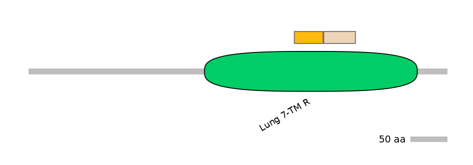 MmuINT0072823-EXC