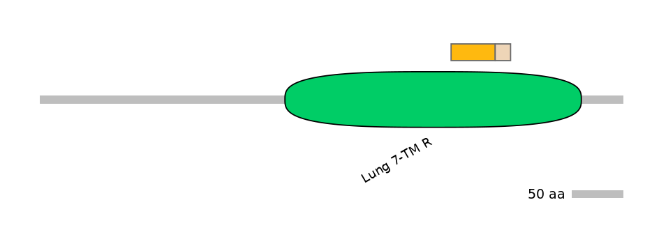 MmuINT0072824-EXC