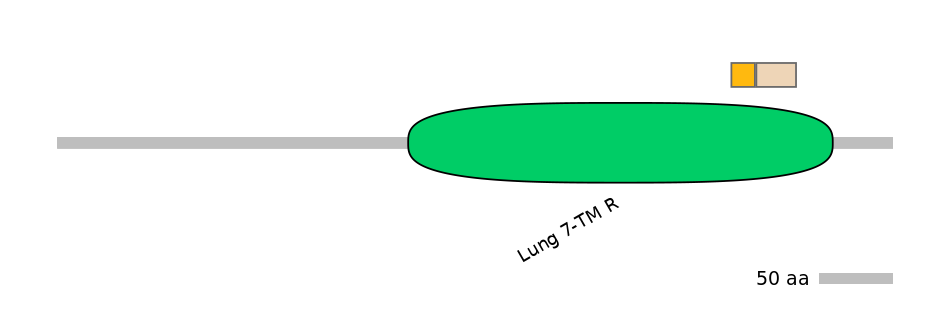 MmuINT0072826-EXC