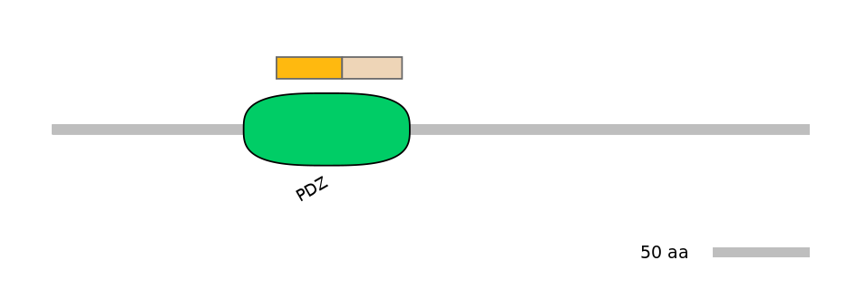MmuINT0073611-EXC