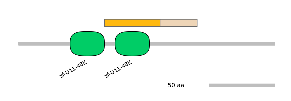 MmuINT0075112-EXC