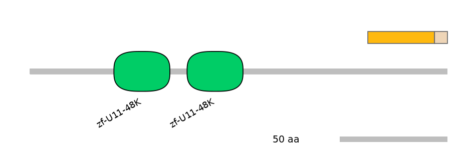 MmuINT0075115-EXC