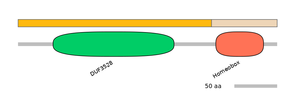 MmuINT0078769-EXC