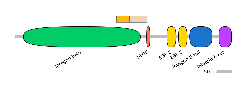 MmuINT0084091-EXC