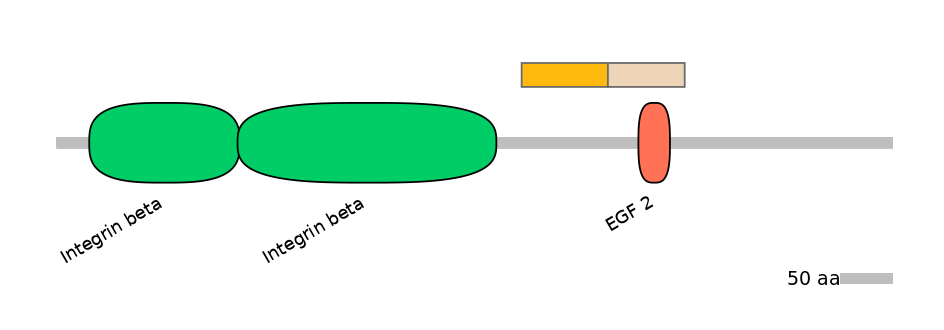 MmuINT0084108-EXC