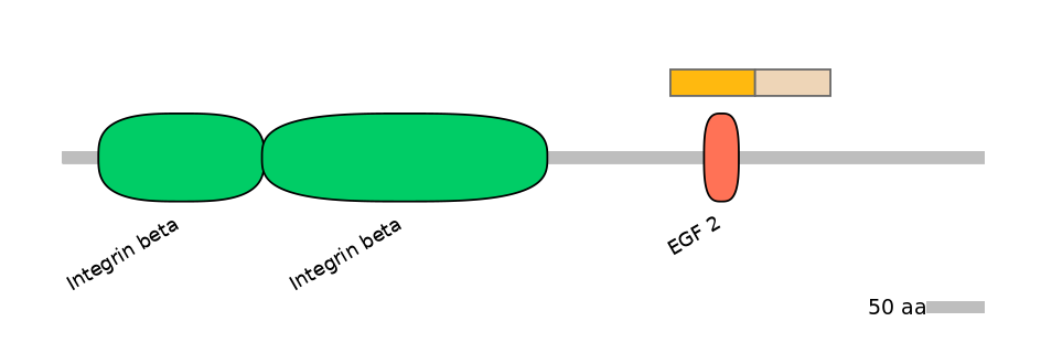 MmuINT0084109-EXC