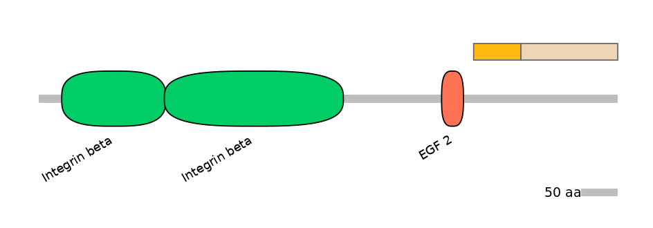 MmuINT0084110-EXC