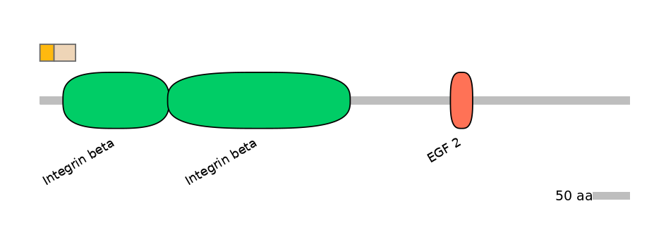 MmuINT0084112-EXC