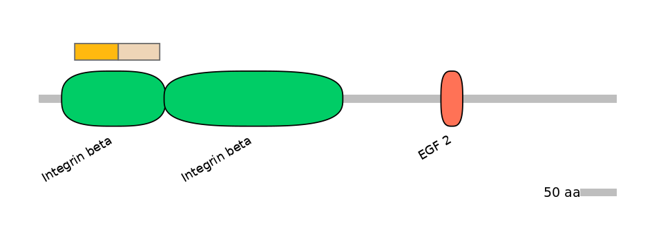 MmuINT0084114-EXC