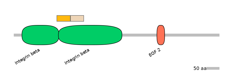 MmuINT0084116-EXC